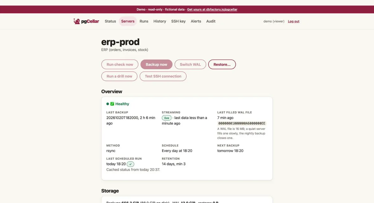 A server page in pgCellar, Overview and Storage sections